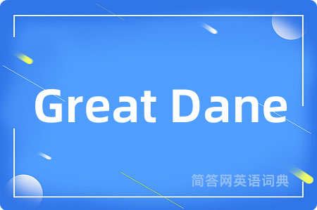 Great Dane