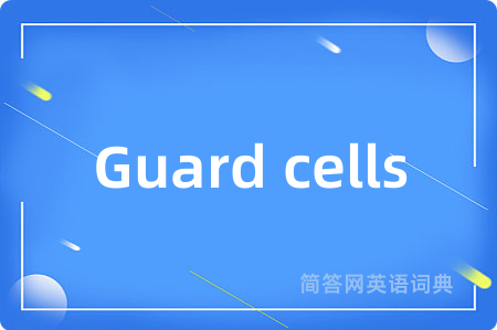 Guard cells