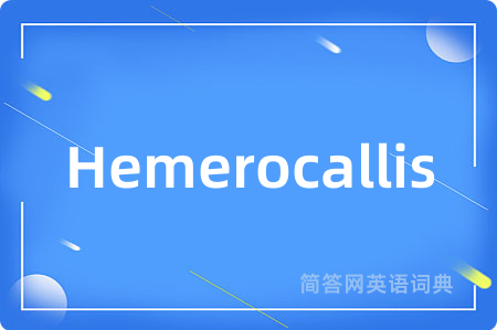 Hemerocallis