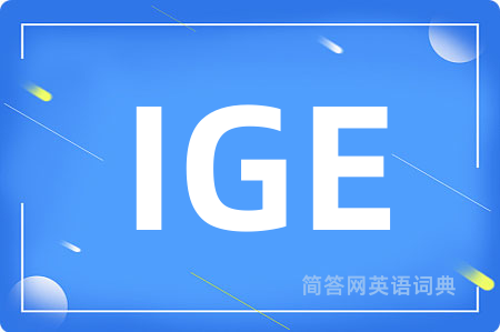 IGE是什么意思,IGE的中文翻译 IGE