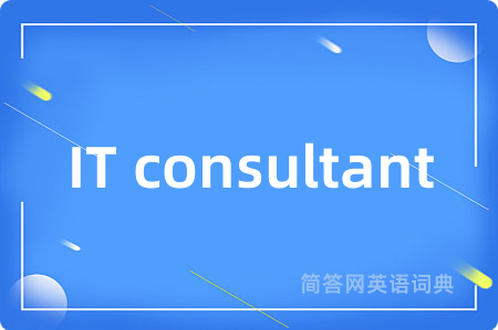 IT consultant