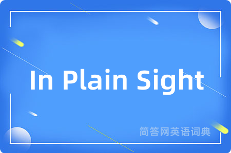 In Plain Sight