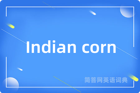Indian corn