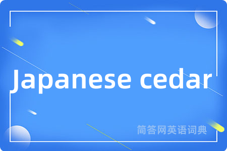 Japanese cedar