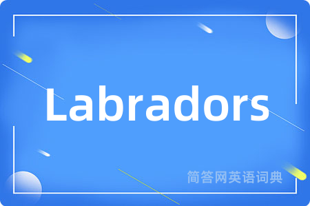 Labradors
