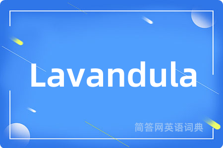 Lavandula