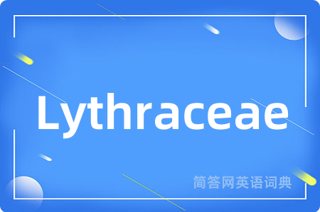 Lythraceae