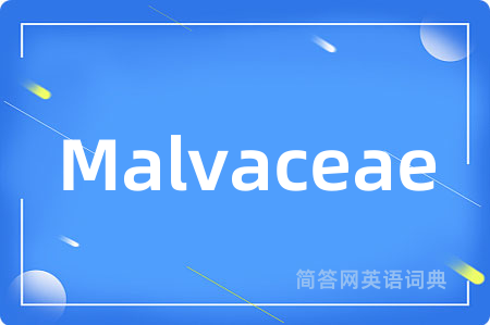Malvaceae
