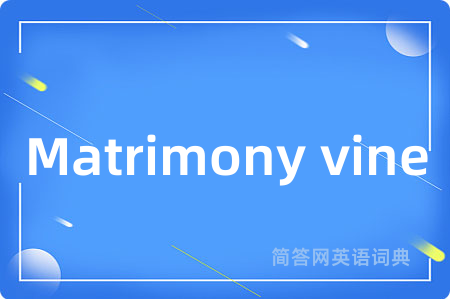 Matrimony vine