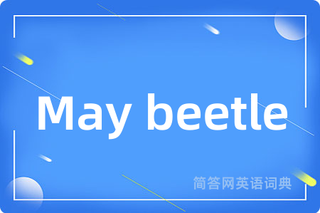 May beetle