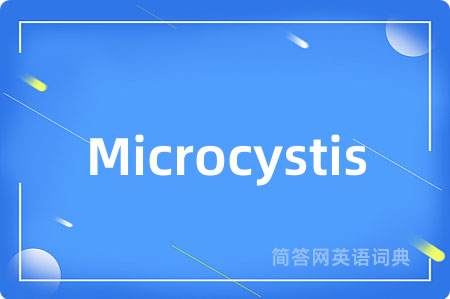 Microcystis