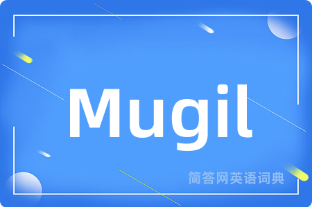 Mugil