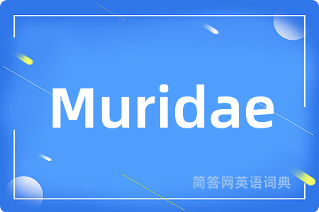 Muridae