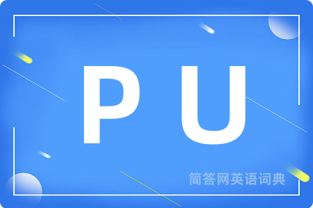 P U