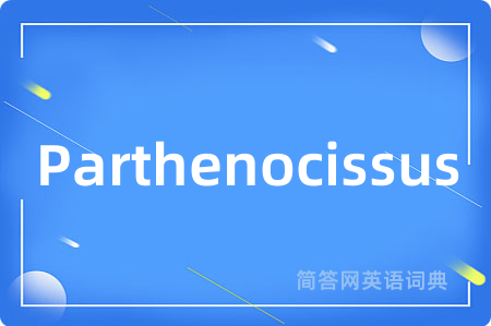 Parthenocissus