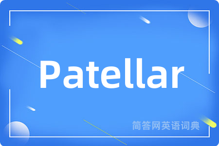 Patellar是什么意思,Patellar的中文翻译 Patellar