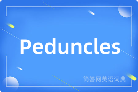 Peduncles