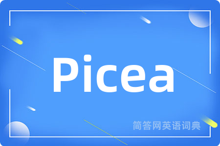 Picea