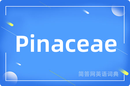 Pinaceae