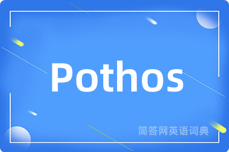 Pothos