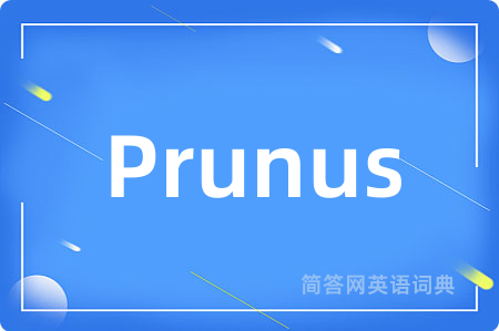 Prunus