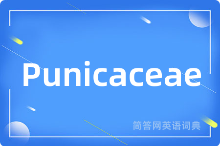 Punicaceae