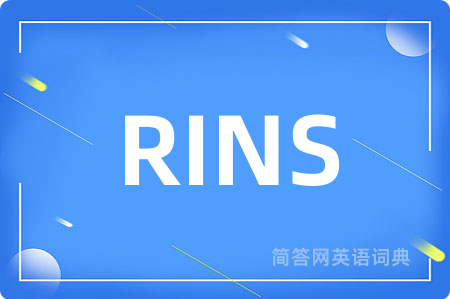 RINS是什么意思,RINS的中文翻译 RINS