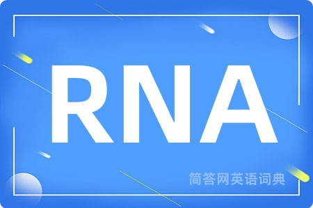 RNA