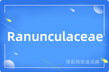 Ranunculaceae是什么意思,Ranunculaceae的中文翻译 Ranunculaceae