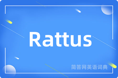 Rattus