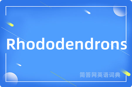 Rhododendrons
