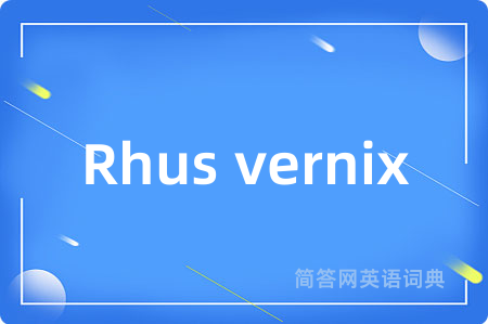 Rhus vernix