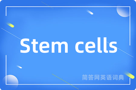 Stem cells