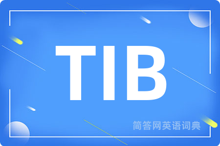 TIB是什么意思,TIB的中文翻译 TIB