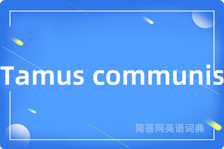 Tamus communis