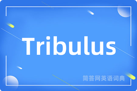 Tribulus是什么意思,Tribulus的中文翻译 Tribulus