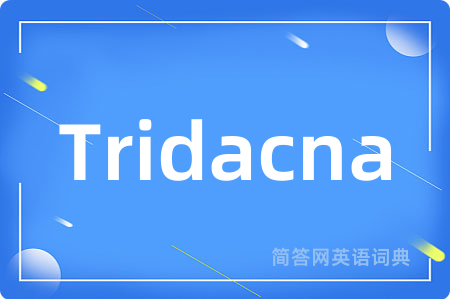 Tridacna