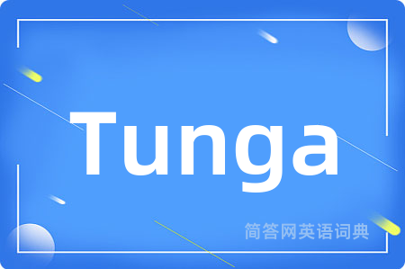 Tunga