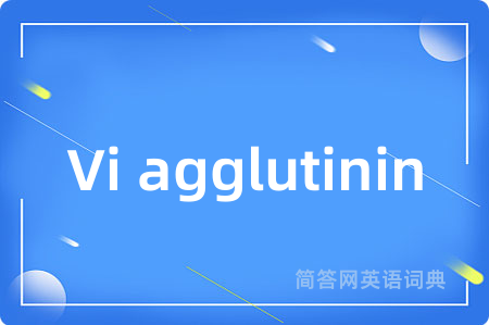 Vi agglutinin