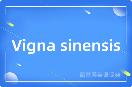 Vigna sinensis