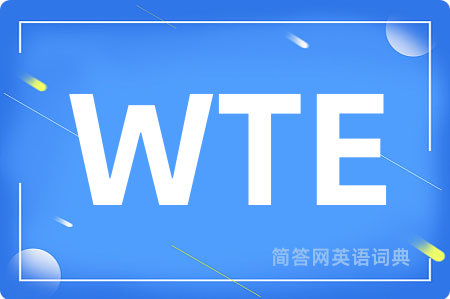 WTE是什么意思,WTE的中文翻译 WTE