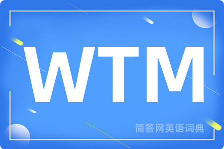 WTM是什么意思,WTM的中文翻译 WTM