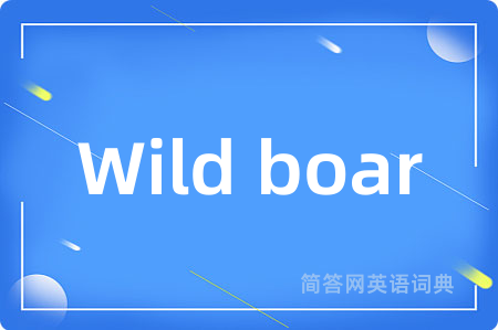 Wild boar