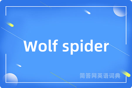 Wolf spider