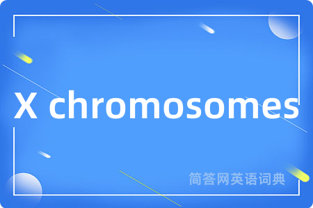 X chromosomes