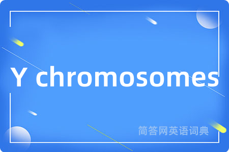 Y chromosomes