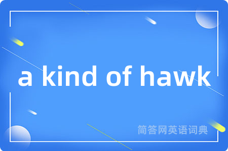 a kind of hawk
