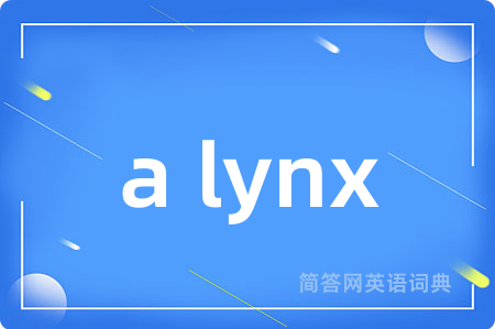 a lynx