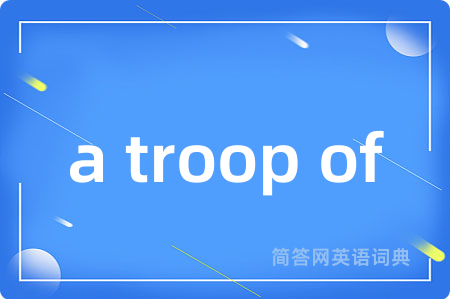 a troop of