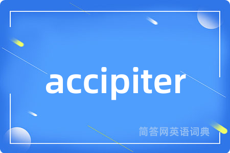 accipiter是什么意思,accipiter的中文翻译 accipiter